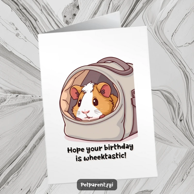 Funny Free Printable birthday card with a content guinea pig peeking out of a cozy, fabric-lined carrier bag.
