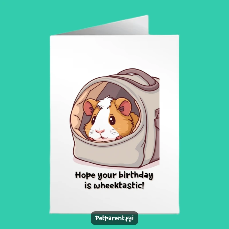 Free Printable Birthday Card: Guinea Pig Cozy Carrier Funny Downloadable Gift